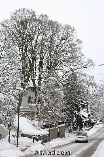 Havelseen im Schnee, Fercher Dorfstraße