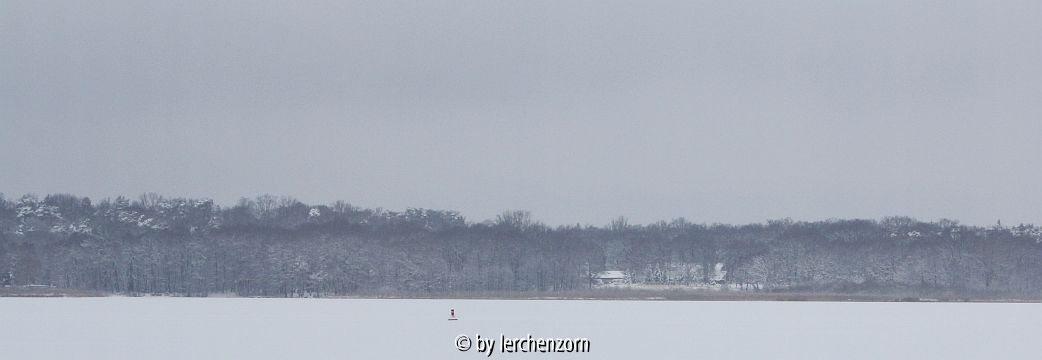 Havelseen im Schnee, Schwielowsee-Südbucht, Blick von Ferch zur Löcknitz