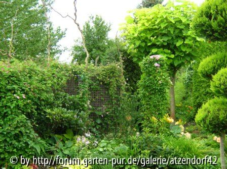 Gartenansichten
