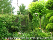 Gartenansichten