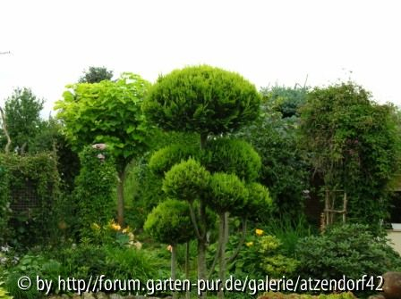 Gartenansichten