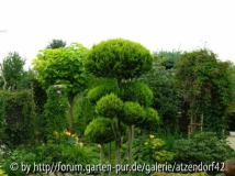Gartenansichten