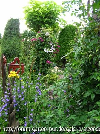 Gartenansichten