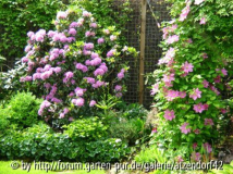 Gartenansichten