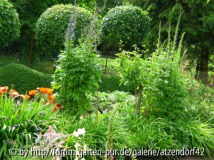 Gartenansichten