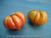 Salztomaten