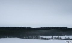 Fensterblick mit Nebel