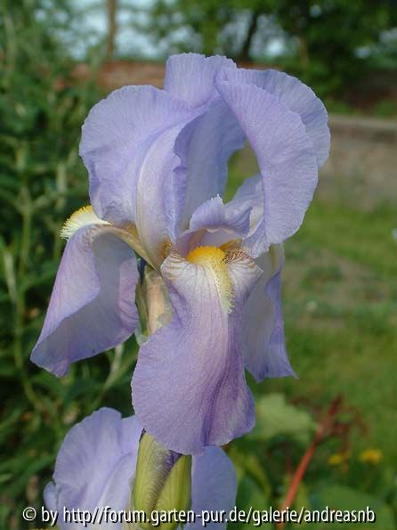 DSCF0399