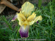 DSCF0397
