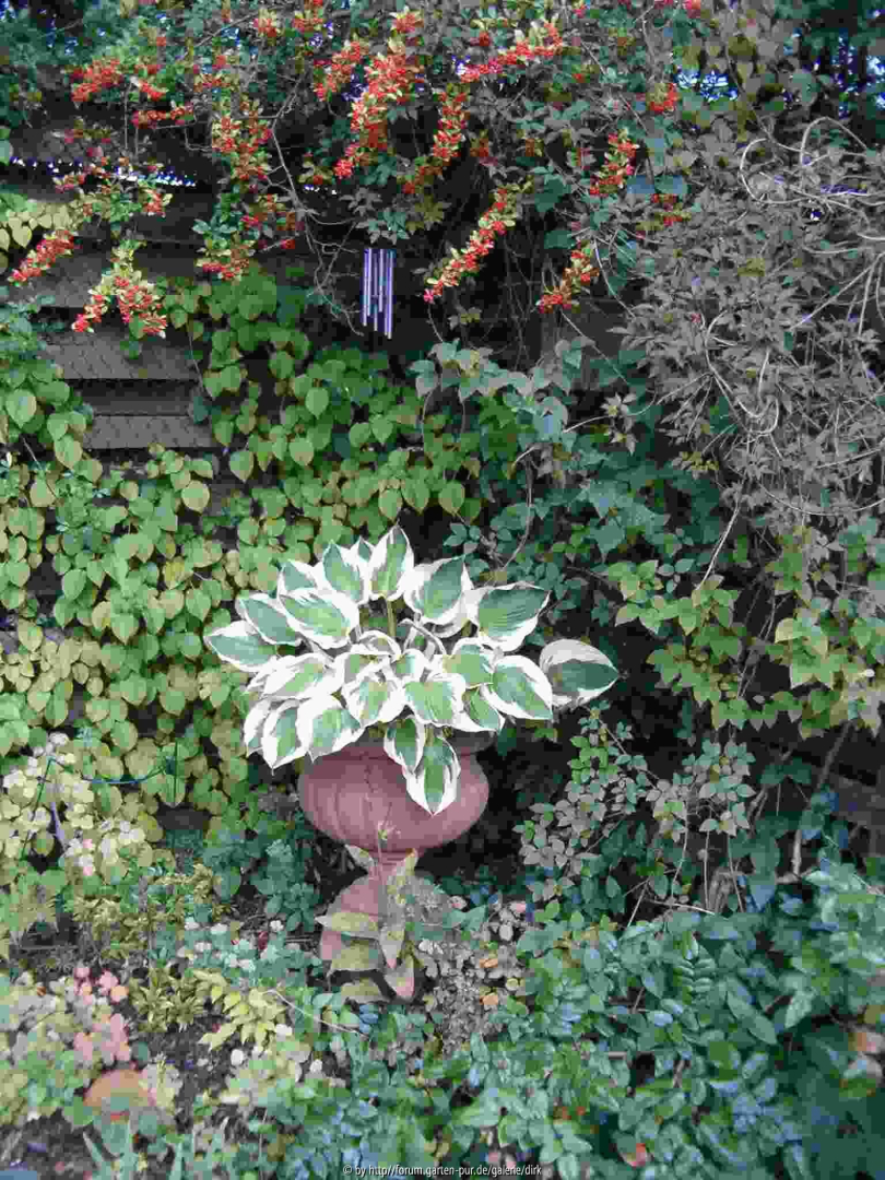 dunkle Ecke