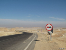 Auf dem Weg zu der Oase Farafra 01