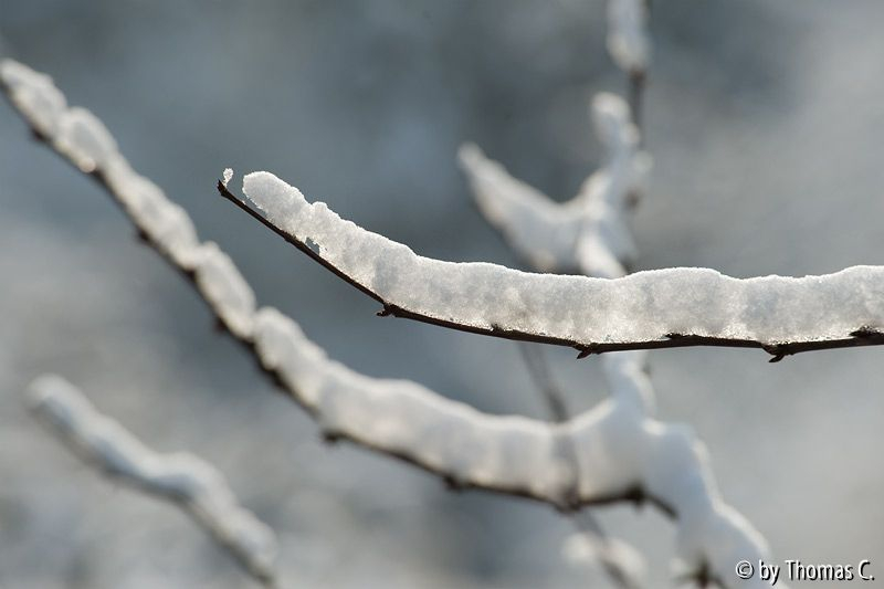 Schnee in der Kölner Bucht 02