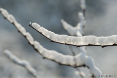 Schnee in der Kölner Bucht 02
