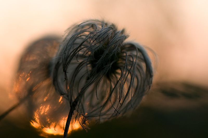 mit CS3 Camera-Raw Standardeinstellungen