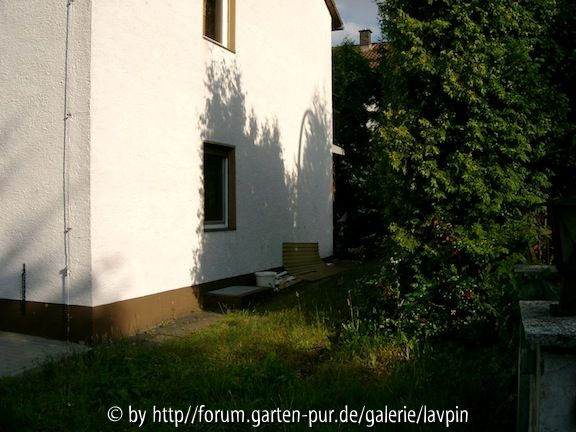 Garten bei Einzug 2