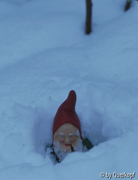 Fritz, verschneit