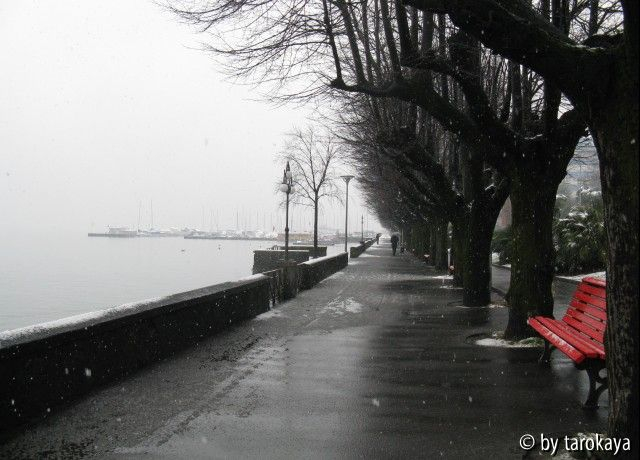 locarno kai winter