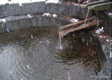 brunnen parco winter