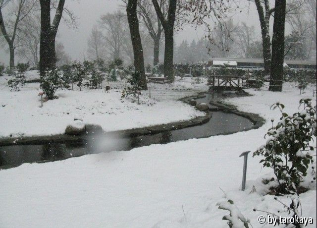 wasserlauf winter