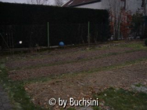 Beetanlage09_02_2010.jpg