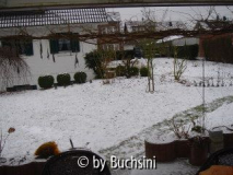 11.Februar2010