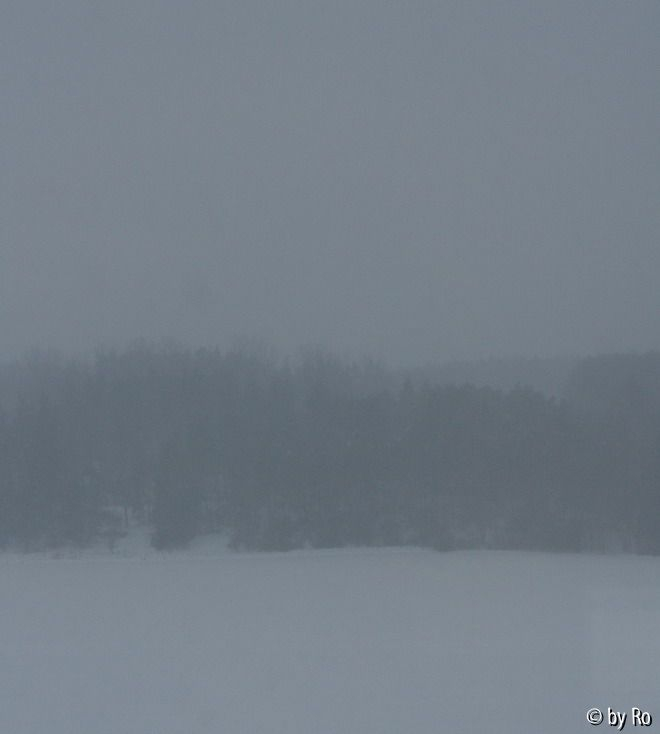 Februarfenster