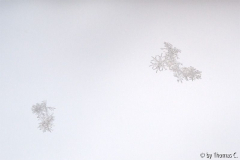 Schneeflocken 02