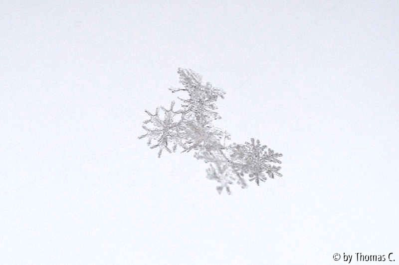 Schneeflocken 03