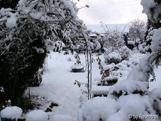 Winter im Landhausgarten