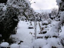 Winter im Landhausgarten