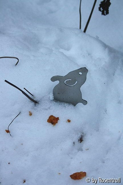 schneehausmaus