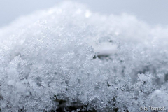 Tauwetter 07