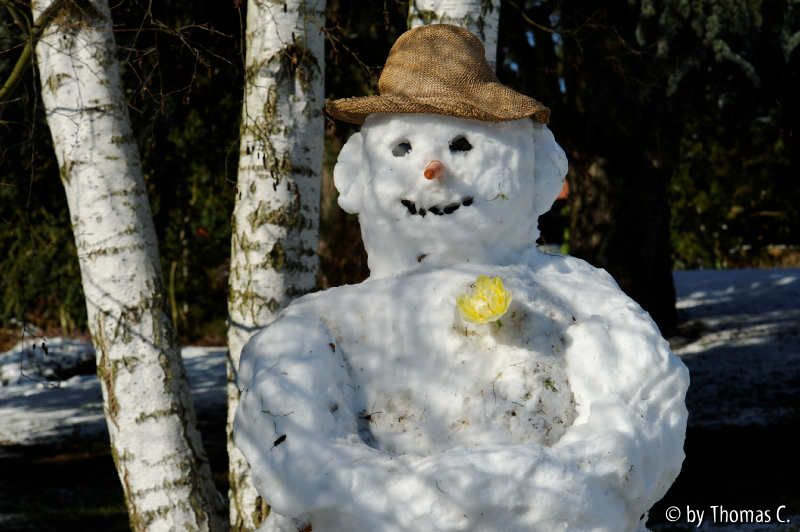 Schneemann