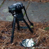 Schneeglöckchen fotografieren - Making of