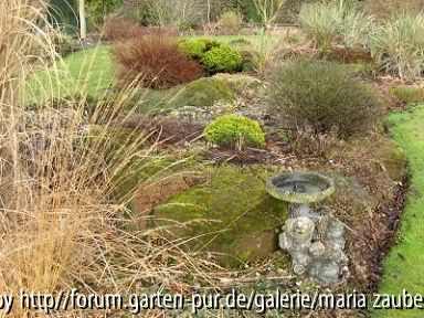 Gable House Foster