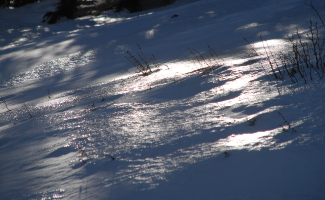 Schneefläche 1