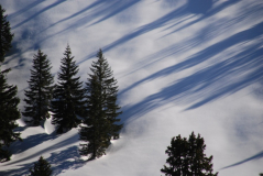 Schatten 2