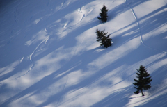 Schatten 1
