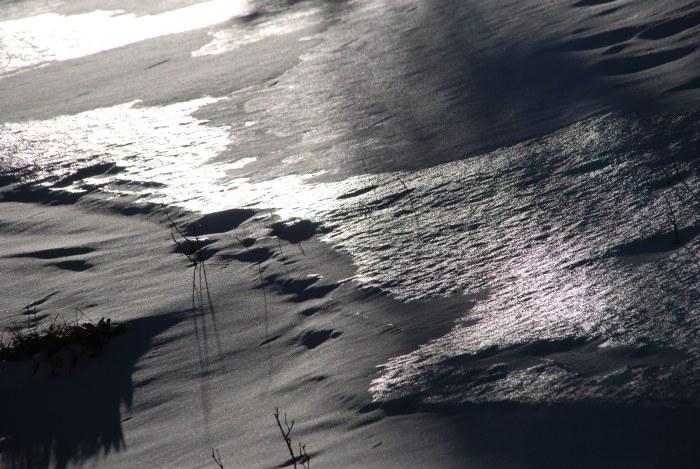 sw 2