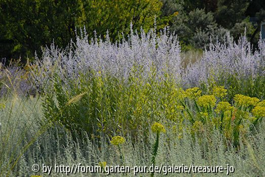 Botanischer Garten Wü 2008 1