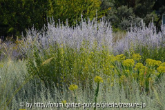 Botanischer Garten Wü 2008 1