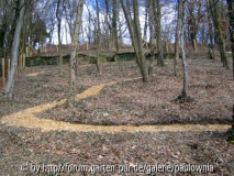 Obere Sandsteinmauer Feb.jpg