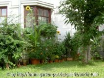 meinkübelgarten