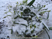 Frühlingsdeko März.jpg