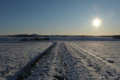 Blick aufs Siebengebirge