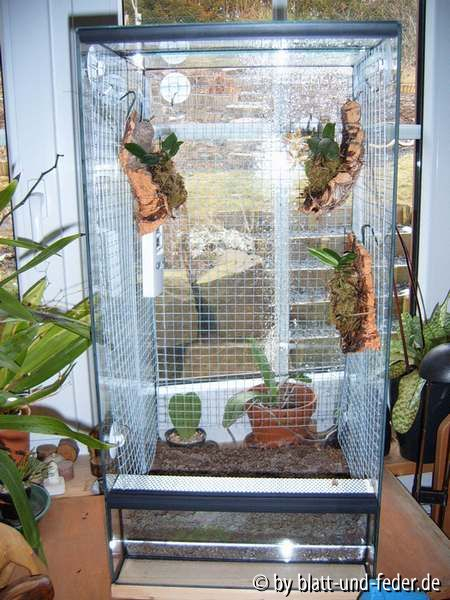Vitrine