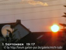 sep1.jpg