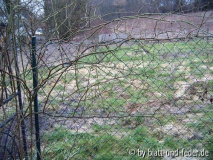 Wintereindruck EaB