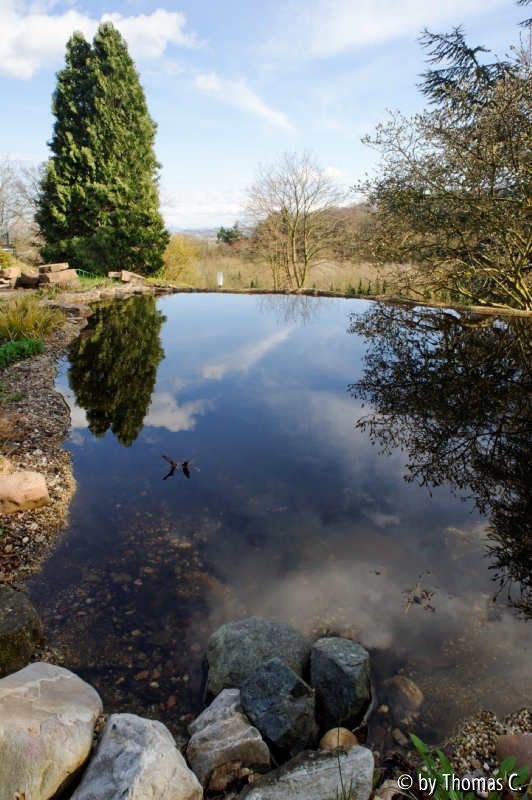See oder Teich 2?