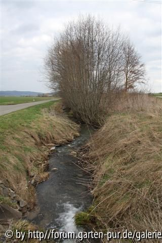 März 2010 5